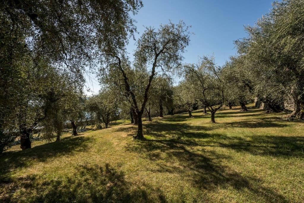 Oleandro Apartment Directly On The Lake Gargnano Luaran gambar